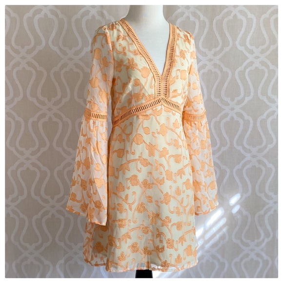 Kayla Peach Leaf Ivory Dress - Picture 9 of 9